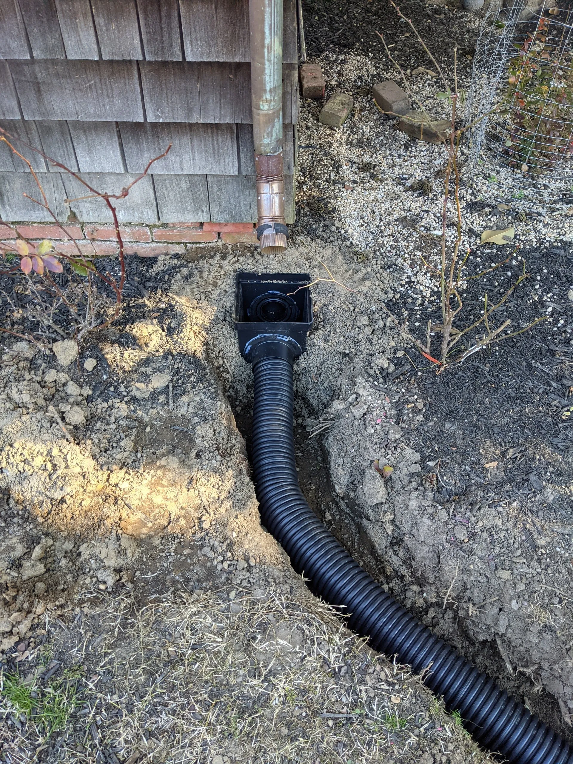 Catch basin connected to black corrugated pipe running down a trench next to the house