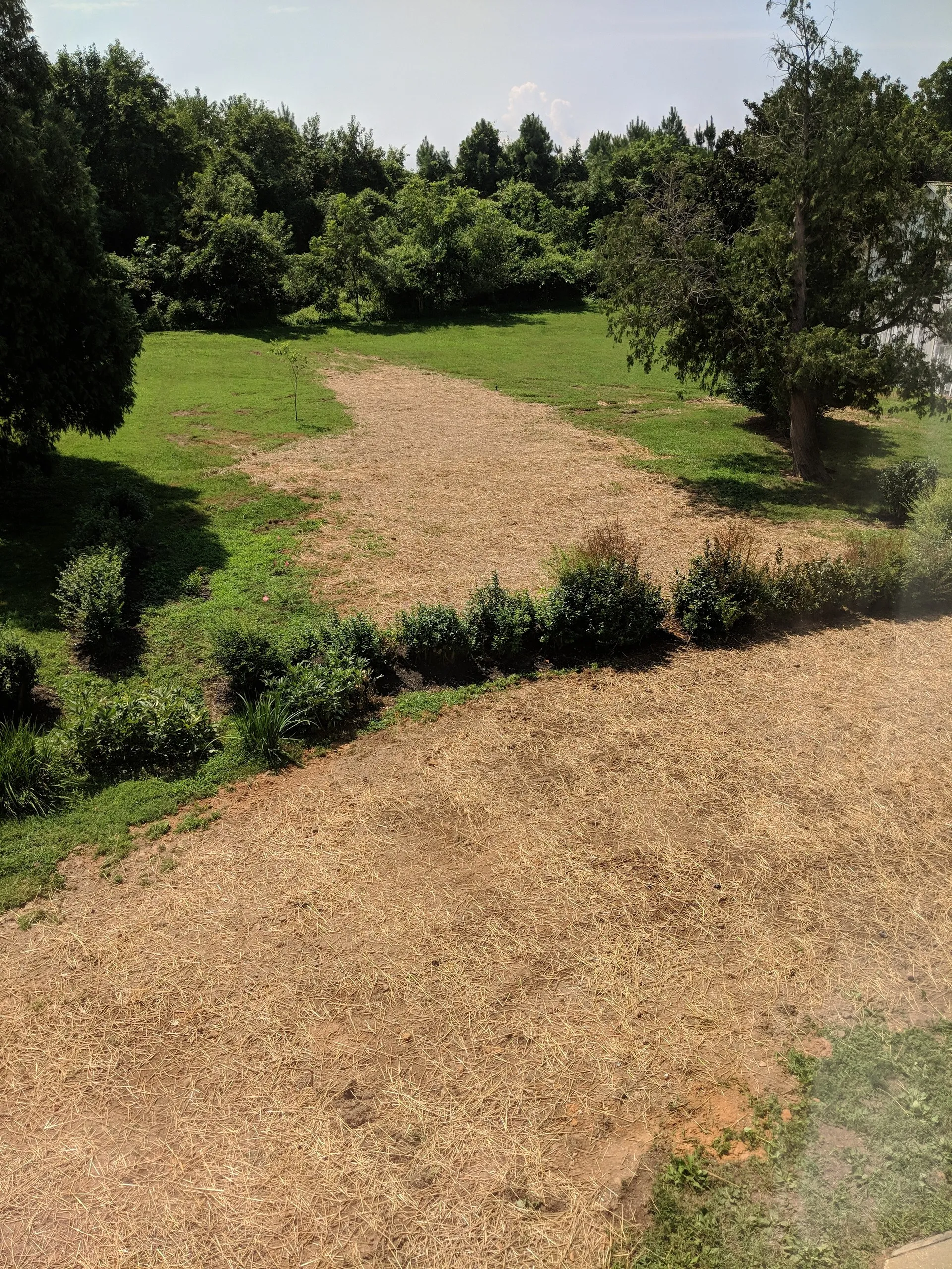I suppose the grass will grow back eventually
