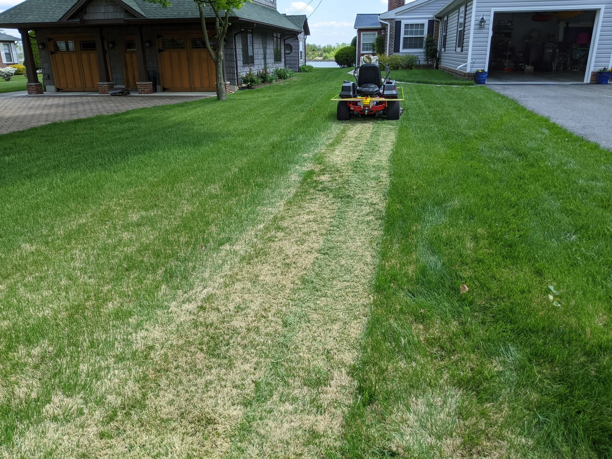 The first strip of grass ever cut with this autonomous lawnmower!